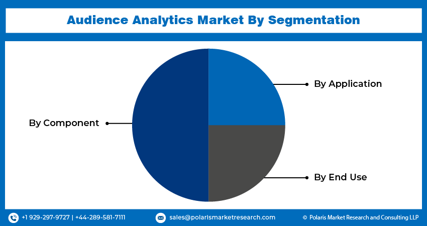 Audience Analytics Market Report Segmentation